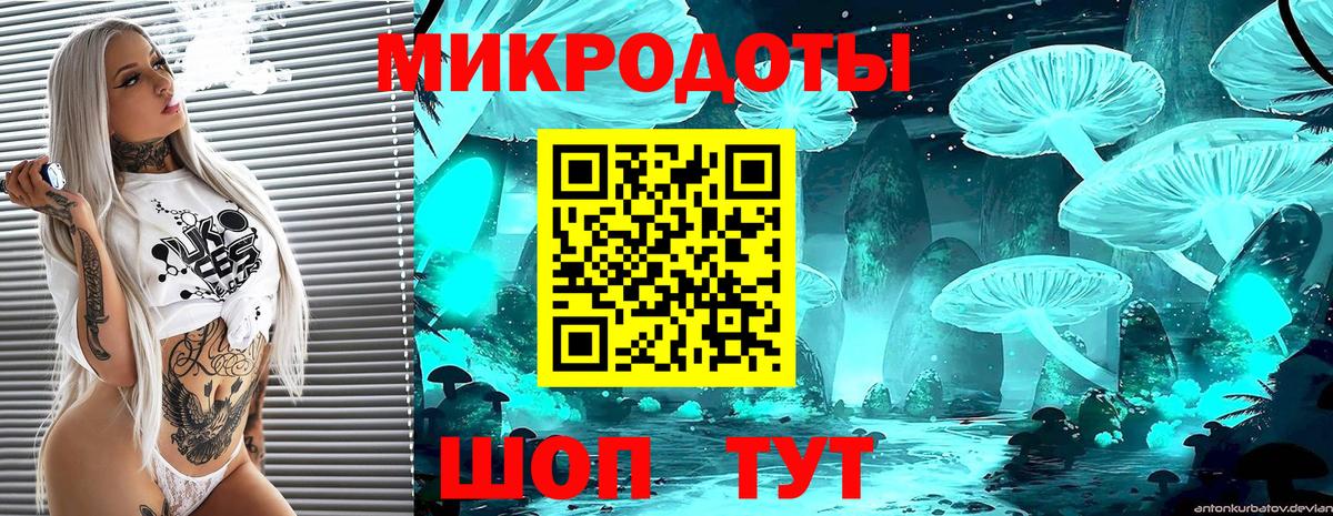 Псилоцибиновые грибы Psilocybe  Вход с VPN  Тайшет  Псилоцибиновые грибы Psilocybe 