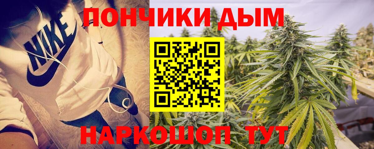 Бошки Шишки семена  Канабис ГИДРОПОН  Марихуана Ganja  Вход с VPN  Канабис план  Тайшет 